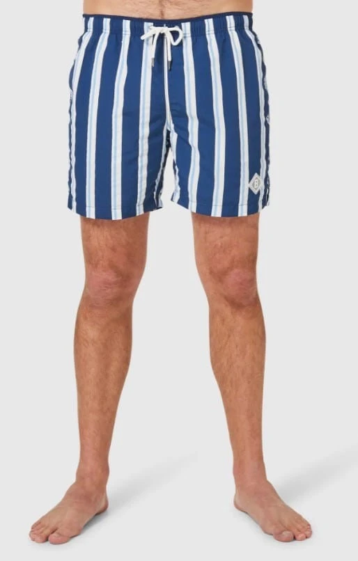 Blazer Mens Harry Multi Stripe Swim Shorts 2 Blazer Mens Harry Multi Stripe Swim Shorts - Image 2