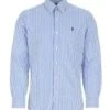 Ralph Lauren Mens Custom Fit Stretch Stripe Poplin Shirt - Blue/White